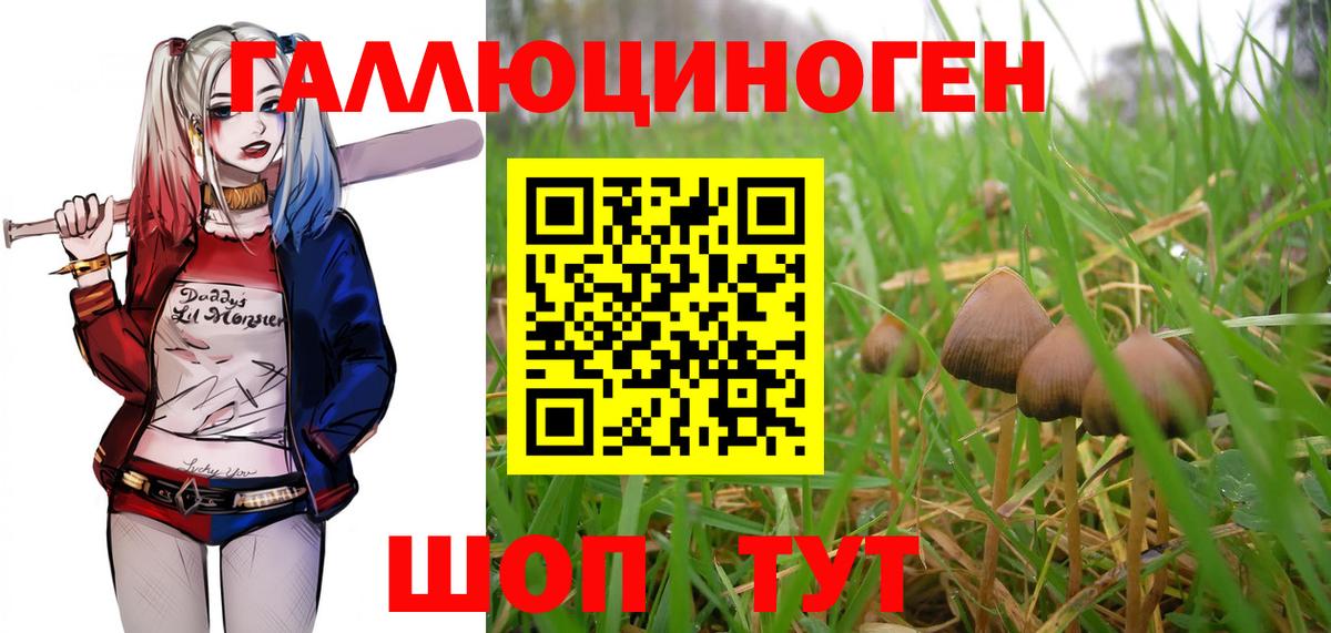 Советск  Псилоцибиновые грибы прущие грибы  Псилоцибиновые грибы мухоморы  Вход с VPN 