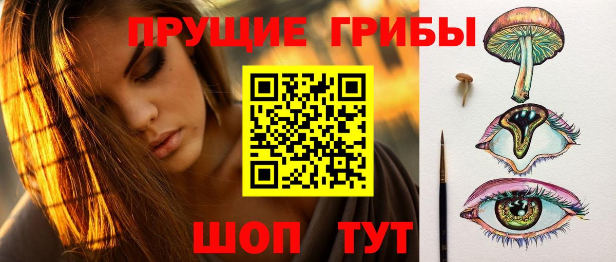 Псилоцибиновые грибы Cubensis Советск